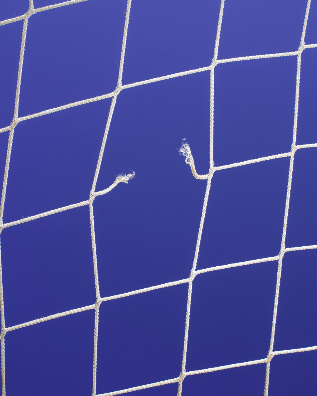 Image shows purple background with broken volleyball net